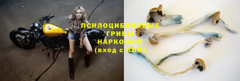 Псилоцибиновые грибы Magic Shrooms  Советский 